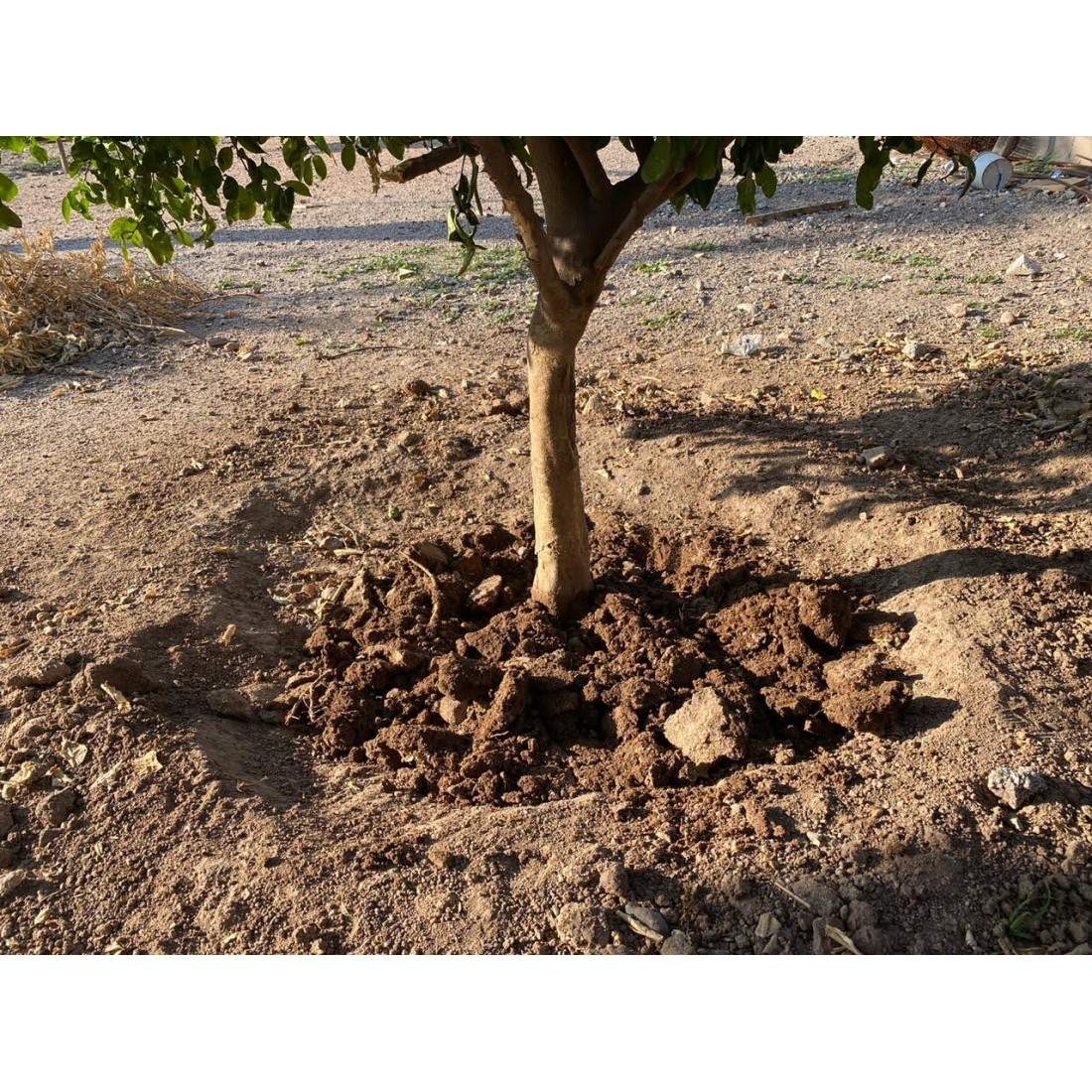 SOIL WATER TRAP SOIL WATER TRAP