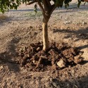SOIL WATER TRAP SOIL WATER TRAP