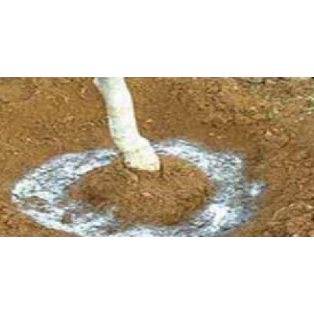 SOIL WATER TRAP SOIL WATER TRAP