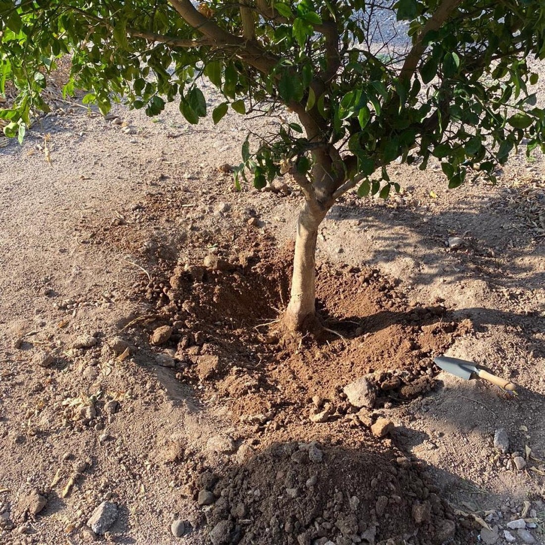 SOIL WATER TRAP SOIL WATER TRAP
