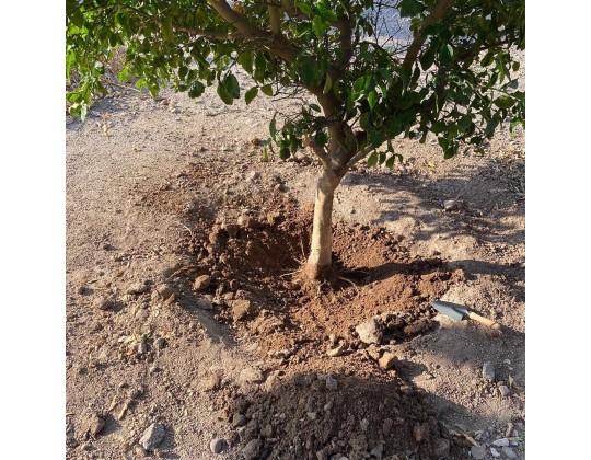 SOIL WATER TRAP